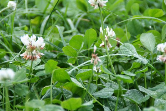 mijnkringloopwijzer.nl/actueel/nieuws…