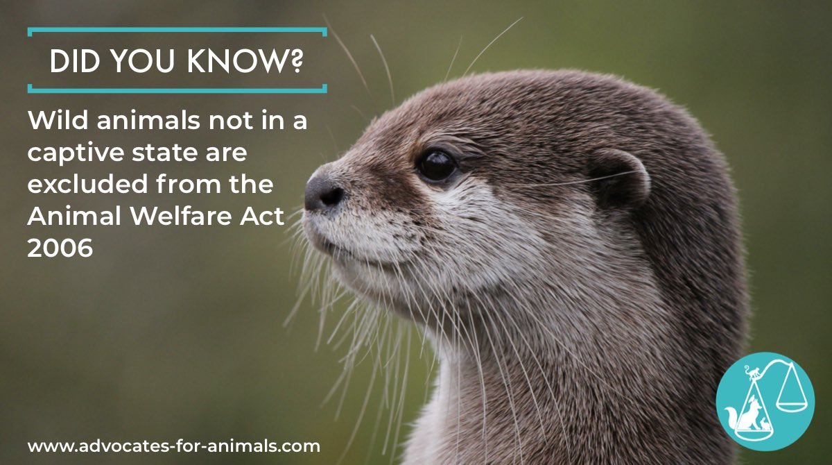 Advocates for Animals | Solicitors on Twitter: 