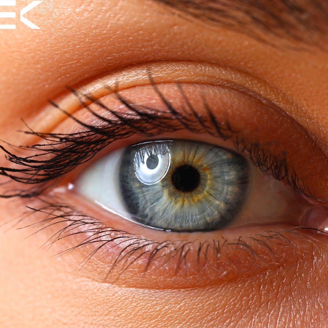 Today is #WorldMSDay which aims to raise awareness around multiple sclerosis 🤝

Early signs of MS can be picked up with a comprehensive eye test using advanced imaging with OCT and Optomap 👁

Please email or call to book an appointment:
📧 info@ekeyewear.com
☎️ 02890662020