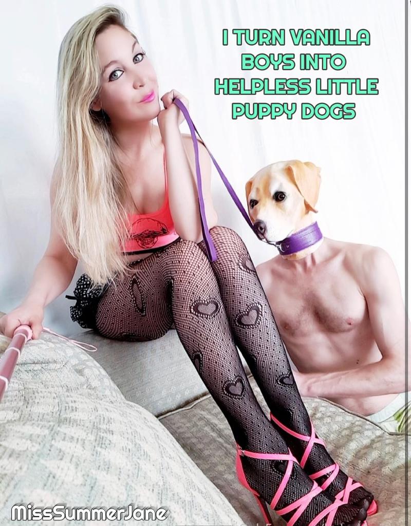 MissSummerJane's tweet photo. 😈I TURN BOYS INTO A HELPLESS LITTLE PUPPY DOGS 🐶 🐶🐶

&amp; make the hump the furniture😂 https://t.co/N0H0xqQl35
