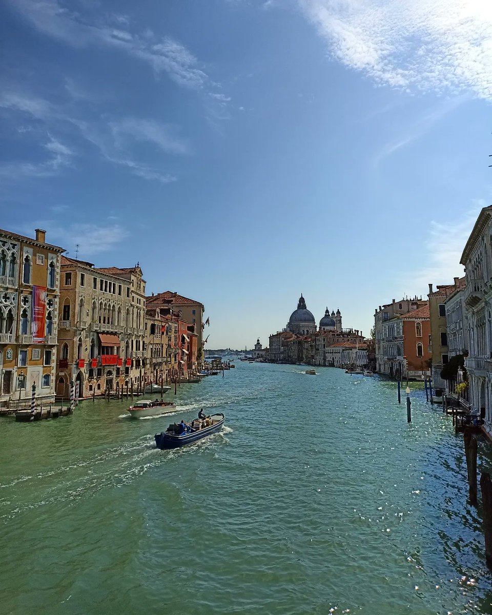 AnnaMasseroni tweet media