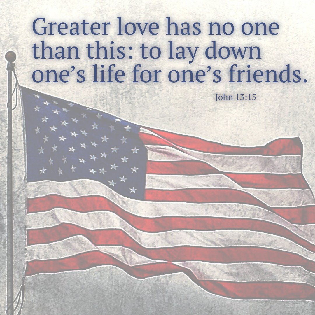 Lynn Shannon 💜📖 tweet media