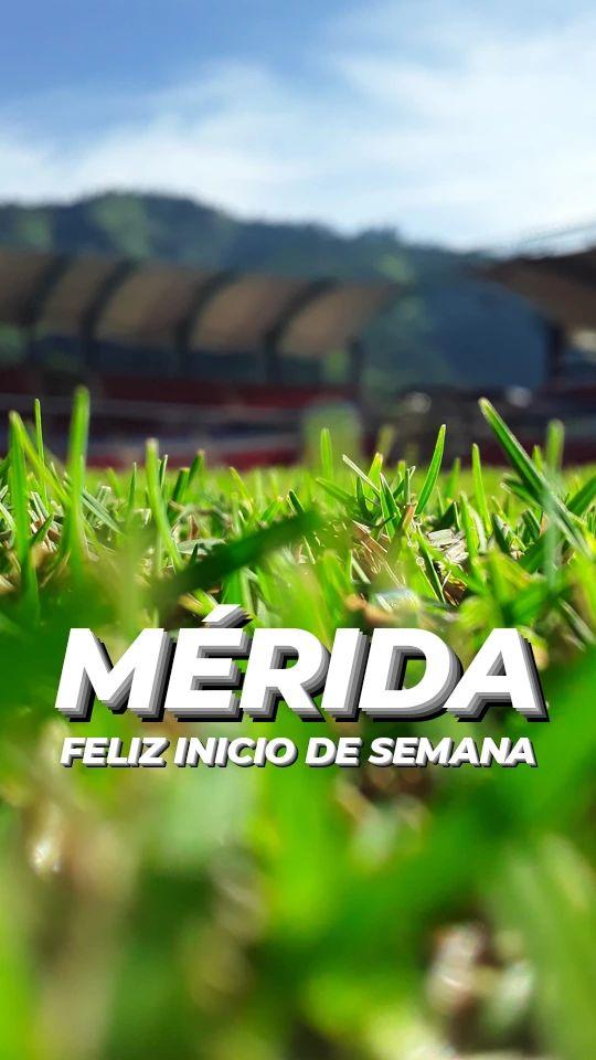 Estadio Metropolitano tweet media