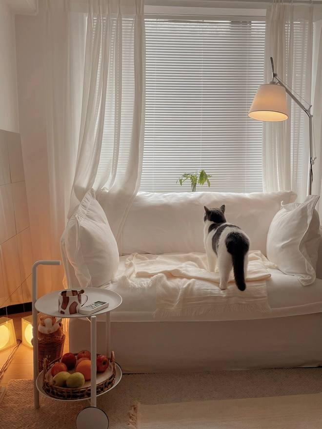 Michell95324124's tweet image. good morning🌤️❤️