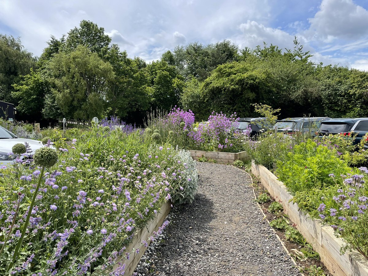 Birdwisenk's tweet photo. Meanwhile, Hayley has been welcoming @BirdAwareEssex to north Kent to discuss our projects and opportunities to work together in the future. Riverside is looking splendid today #birdwise #birdaware #shareourshores #conservation #medway #kent #thames #essex https://t.co/9tapeRQ5NL