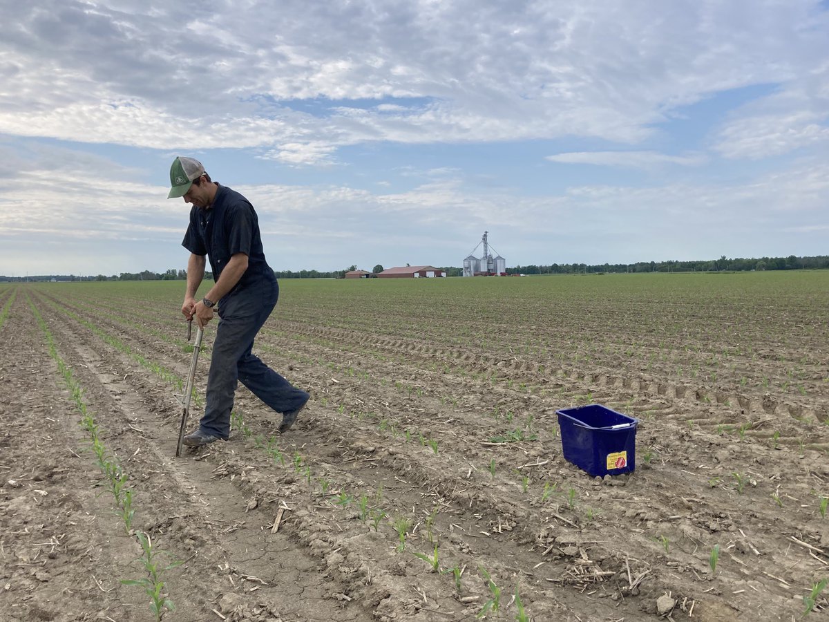 phhermans's tweet photo. The silent heroes that help us with so much at ⁦@CortevaCA⁩! Here is to our summer interns across Ontario and Quebec that help us help our ⁦@PioneerSeedsCA⁩ customer understand products and agronomy trials year in and year out ! #SummerInterns #LotsOfHardWork https://t.co/QQoJZ8Mi2Z