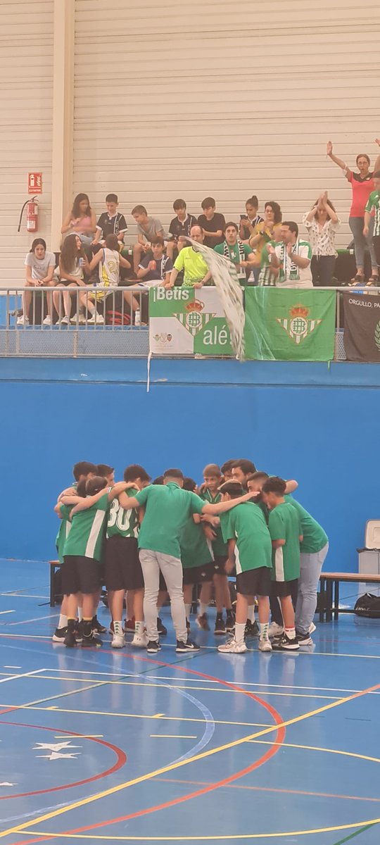 MrAlecaso's tweet image. Impresionante lo vivido ayer en el pabellón de Gelves, una grada hasta arriba, jugadores, padres, madres y  amigos disfrutando de un grupo de enanos haciendo lo que más les gusta, jugar al baloncesto.
Gracias por estos momentos. 🏀💚
@RealBetisBasket