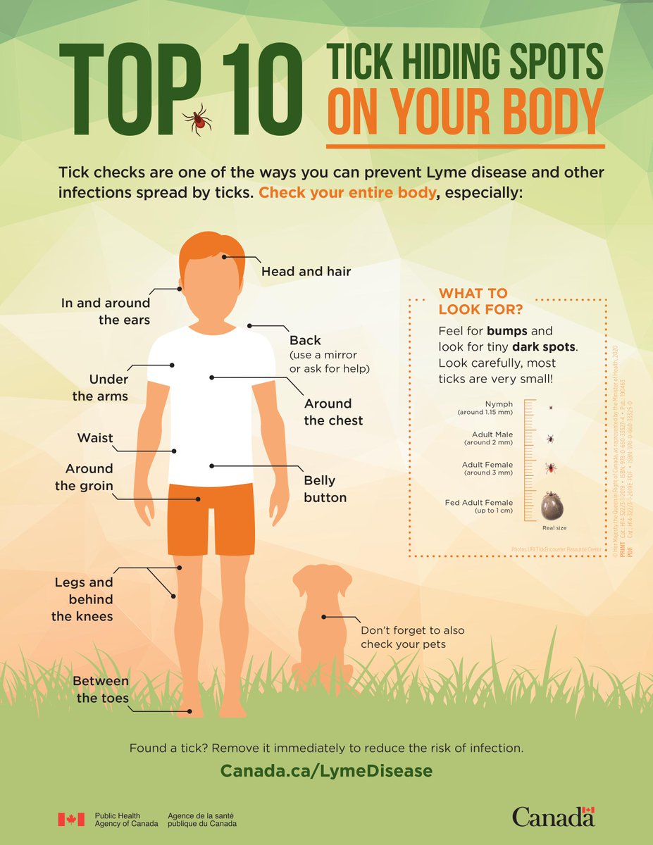 May is National Lyme Disease Awareness Month in Canada. Although we’ve reached the end of the month, it is important to do regular tick checks. 

To learn more about Lyme Disease in Nova Scotia, visit: novascotia.ca/DHW/CDPC/lyme.…