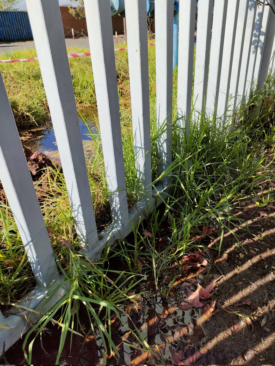 boxapossibility's tweet photo. @CoE_Call_Centre we have had a water leak unattended to for weeks. Please send a team asap? Reg 2022 0509 0338 https://t.co/Jtq7pD8C4d