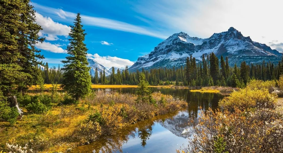 RedBackOpt's tweet image. [Article Invité ]
Le top des pays pour faire de l&apos;éco tourisme
#tourisme #voyage
antoon.fr/eco-tourisme/