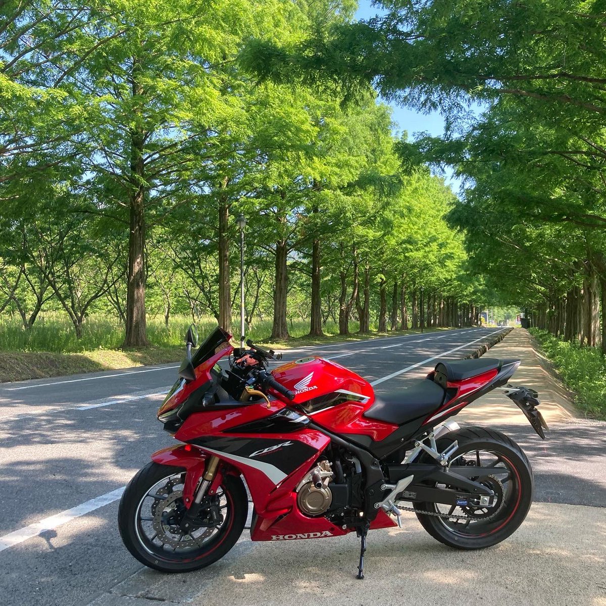 AppleNoisy's tweet photo. 新緑のメタセコイア並木
#cbr400r
#メタセコイア並木
#ビワイチ https://t.co/OkGb3Ad1wj
