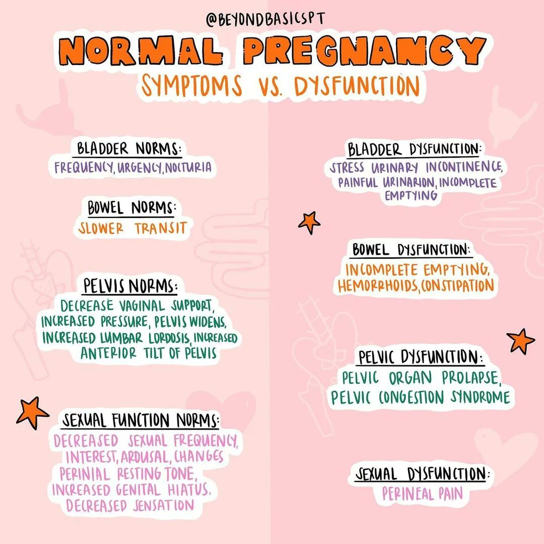 beyondbasicspt's tweet image. It’s no secret that our bodies go through some BIG changes during pregnancy🤰🏽Changes to your pelvic floor are lesser known and pregnant people can find themselves unprepared by the impact of these changes on everyday life. #pelvichealth #pregnancy #pregnantproblems