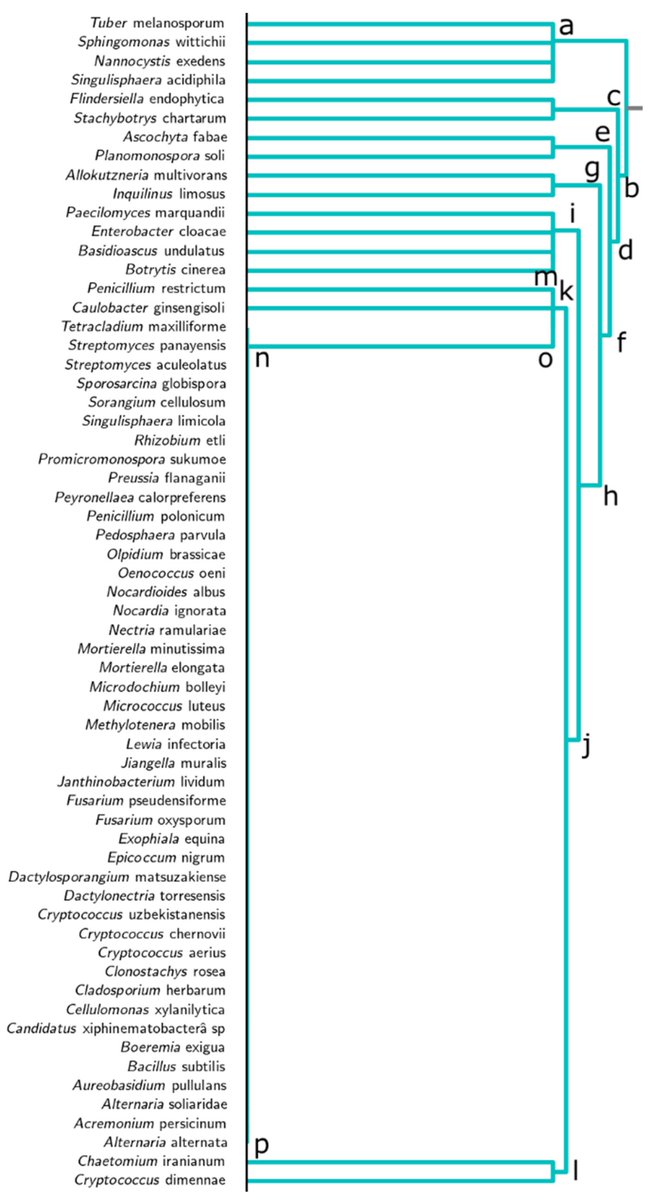 Read #Forests🌲 Editor's Choice Article: "Fungal and Bacterial Communities in Tuber melanosporum Plantations from Northern Spain", an interesting paper by Celia Herrero de Aza et al. @Jaimeolaizola

Full text at 👉  mdpi.com/1999-4907/13/3…

#blacktruffle #Quercus #microbial