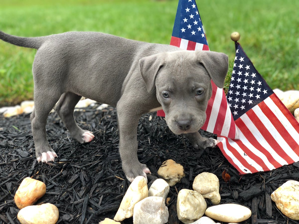 On this Memorial Day, we'd like to take the time to remember, honor, and celebrate those who lost their lives in service to our nation, those who bravely continue to fight and protect our nation, and all those that love them. Thank you for your sacrifice, from all of us at WP.