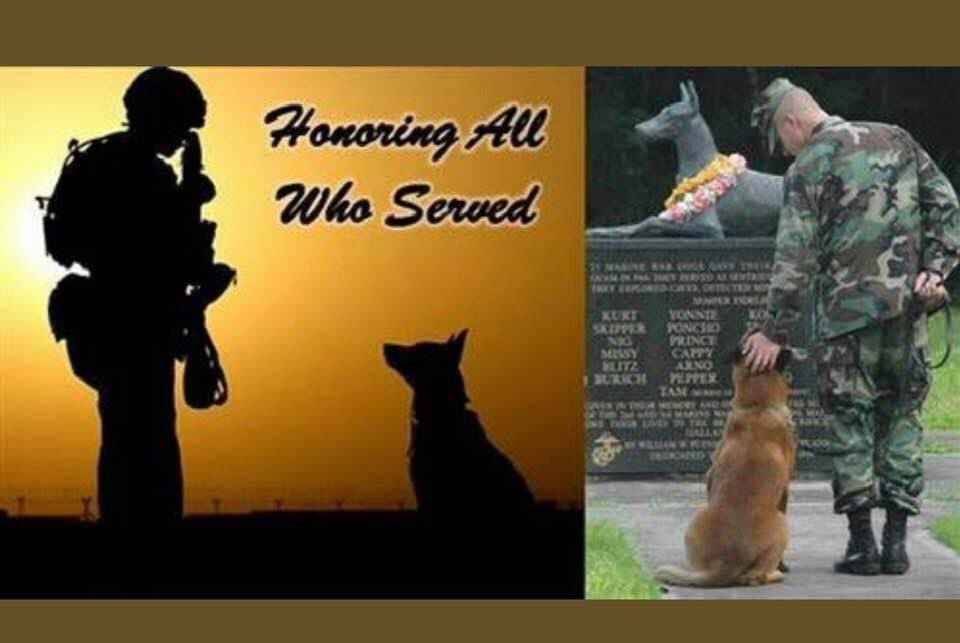 Thank you 🙏❤️🇺🇸