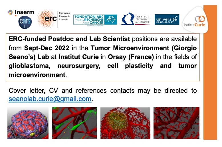 Giorgio Seano (@giorgioseano) on Twitter photo Funded #Postdoc position available from Sept-Dec 2022 in the #TumorMicroenvironment Lab at <a href="/institut_curie/">Institut Curie</a> in Paris-Orsay in the fields of #GBM, #Neurosurgery and #CellPlasticity.
<a href="/ERC_Research/">European Research Council (ERC)</a> @INSB_CNRS <a href="/InsermIDF/">Inserm Île-de-France</a> <a href="/Institut_cancer/">Institut national du cancer</a> <a href="/UnivParisSaclay/">Université Paris-Saclay</a> euraxess.ec.europa.eu/jobs/757364 Funded #Postdoc position available from Sept-Dec 2022 in the #TumorMicroenvironment Lab at <a href="/institut_curie/">Institut Curie</a> in Paris-Orsay in the fields of #GBM, #Neurosurgery and #CellPlasticity.
<a href="/ERC_Research/">European Research Council (ERC)</a> @INSB_CNRS <a href="/InsermIDF/">Inserm Île-de-France</a> <a href="/Institut_cancer/">Institut national du cancer</a> <a href="/UnivParisSaclay/">Université Paris-Saclay</a> euraxess.ec.europa.eu/jobs/757364