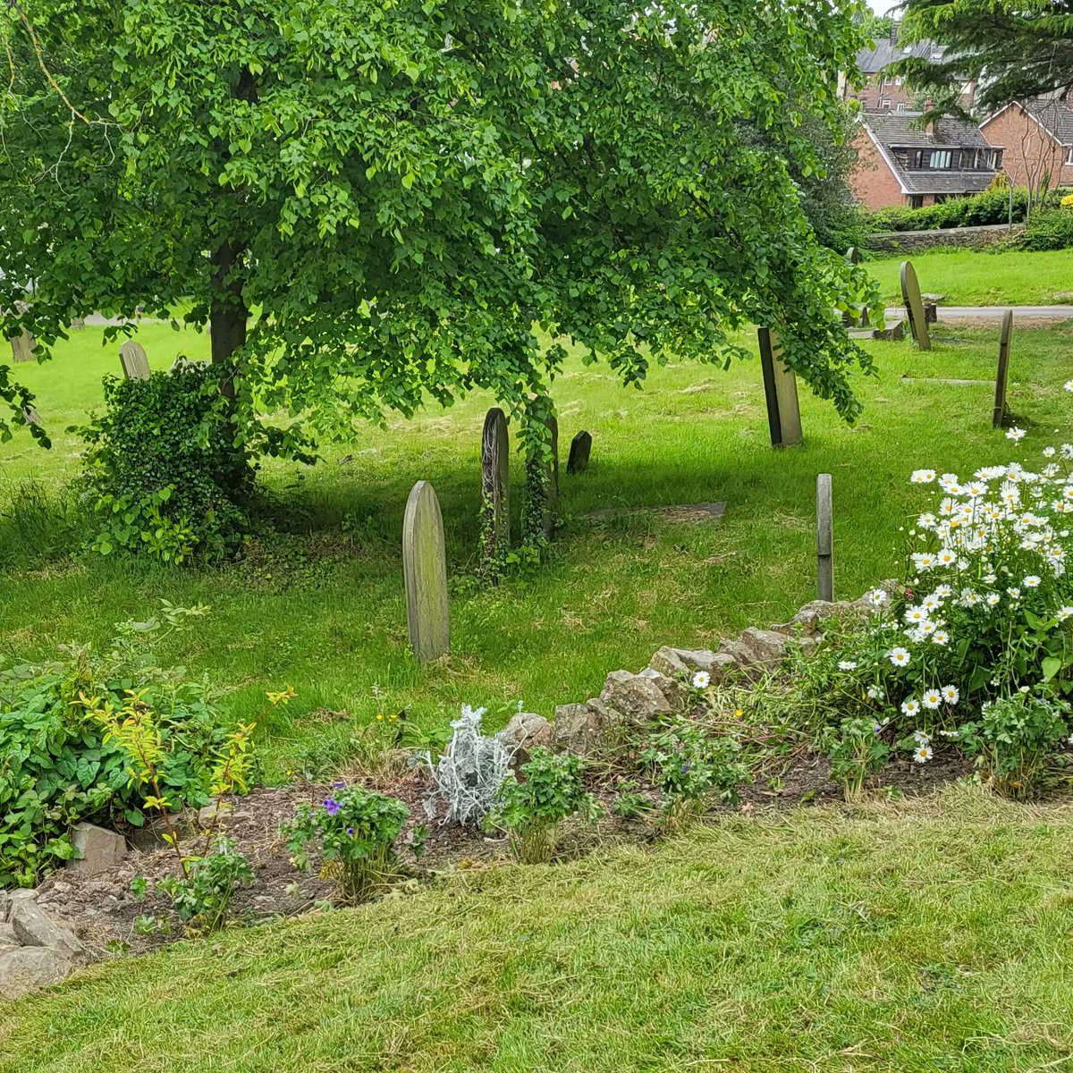 William has come to help at the TCC garden project today. He is responsible for the wild flowers and sowed the large daisies last year. Over the past few days, the team has planted geraniums and Nasturtiums to create a colourful border.