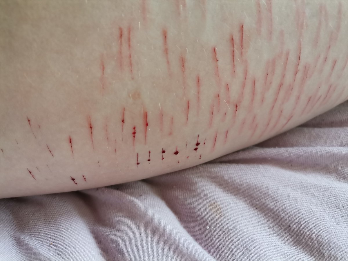 Gay_sh_bitch's tweet photo. #SFXmakeup #fake #opsie #styrotwt #shtwt https://t.co/ENSV2Yj9Ak