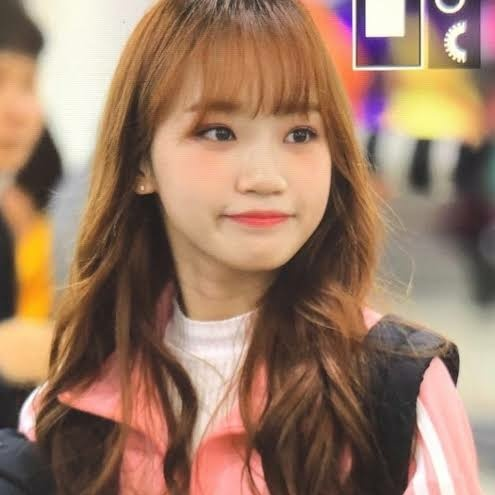 yyujinationn's tweet photo. bread chaewon https://t.co/7onKMF4bc5