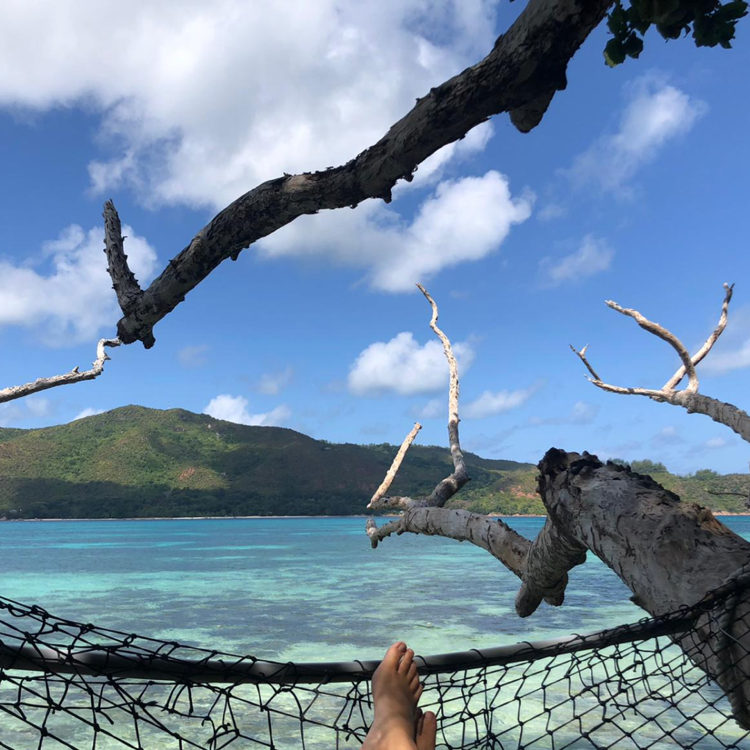 "When we're not out collecting scientific research this is where you can expect to find our volunteers. Our hammocks are a great place to unwind whilst spotting juvenile sharks." This is what life on our GVI Seychelles base could be like for you!
 bit.ly/3FB6Y8h