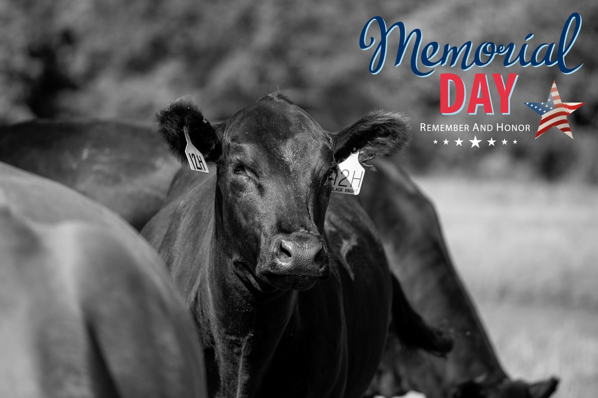 "May we never forget that freedom is not free." Remembering an honoring all who sacrificed it all for our great country. #redwhiteandblue #memorialday

Reminder that the NALF office is closed today for Memorial Day. Normal office hours will resume Tuesday, May 31 7:30am-4pm MST.