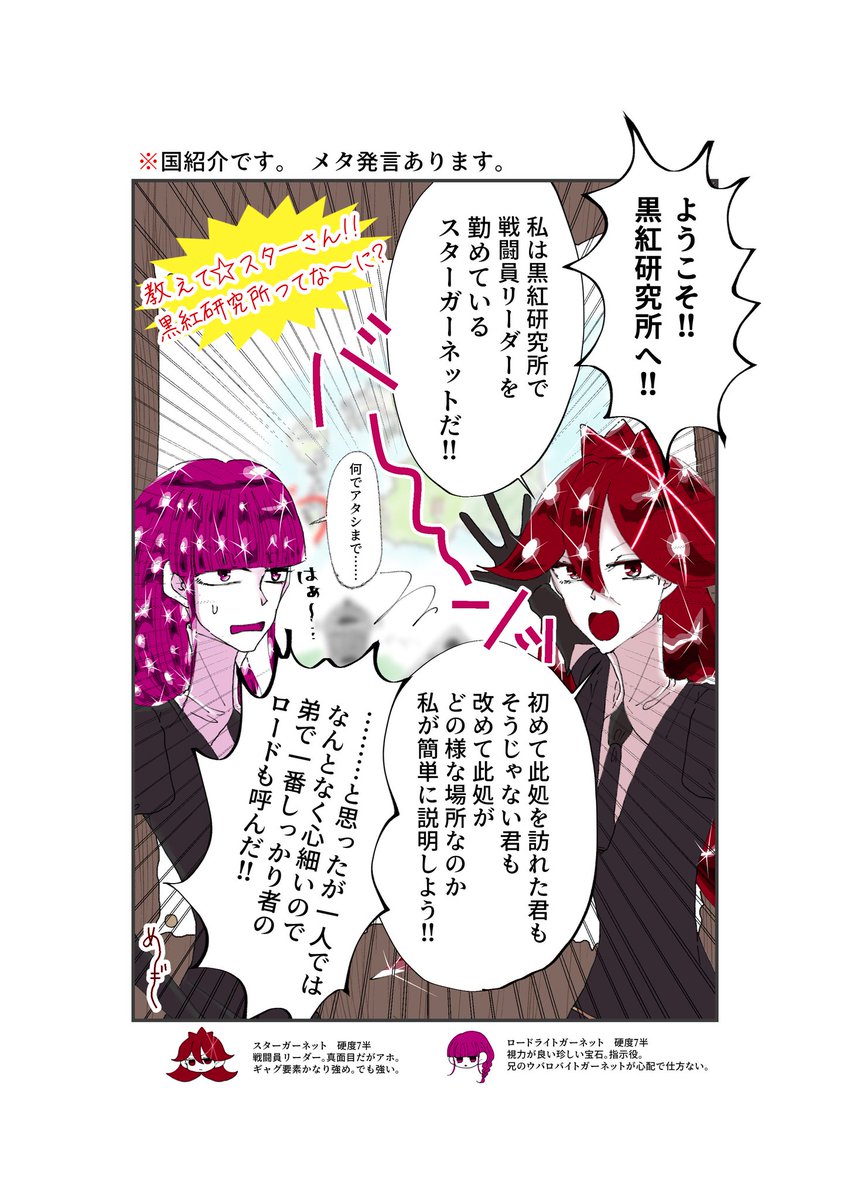 megi_sh15's tweet photo. 創作宝石名鑑3にて掲載
国紹介
 
#真朱の国
#創作宝石
#創作宝石名鑑 https://t.co/NUR38swLcj