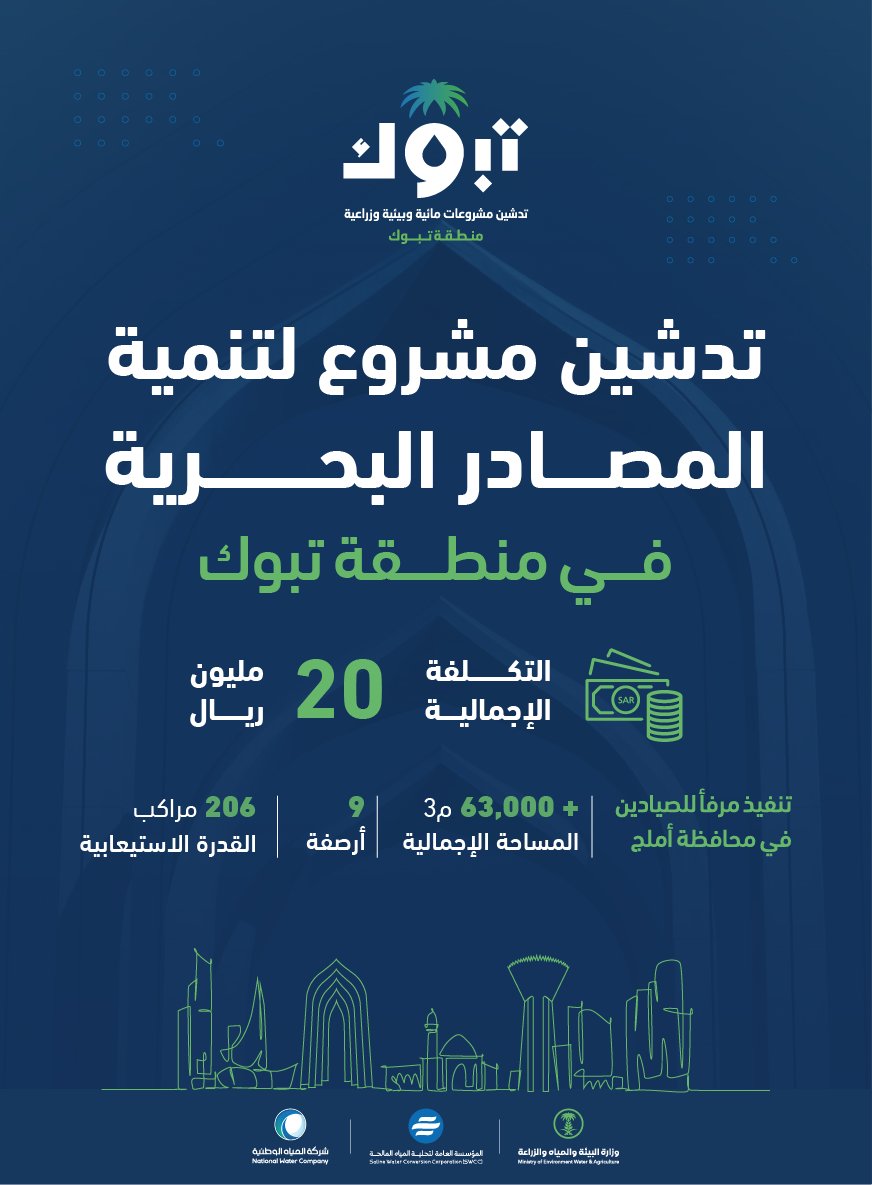 الصورة