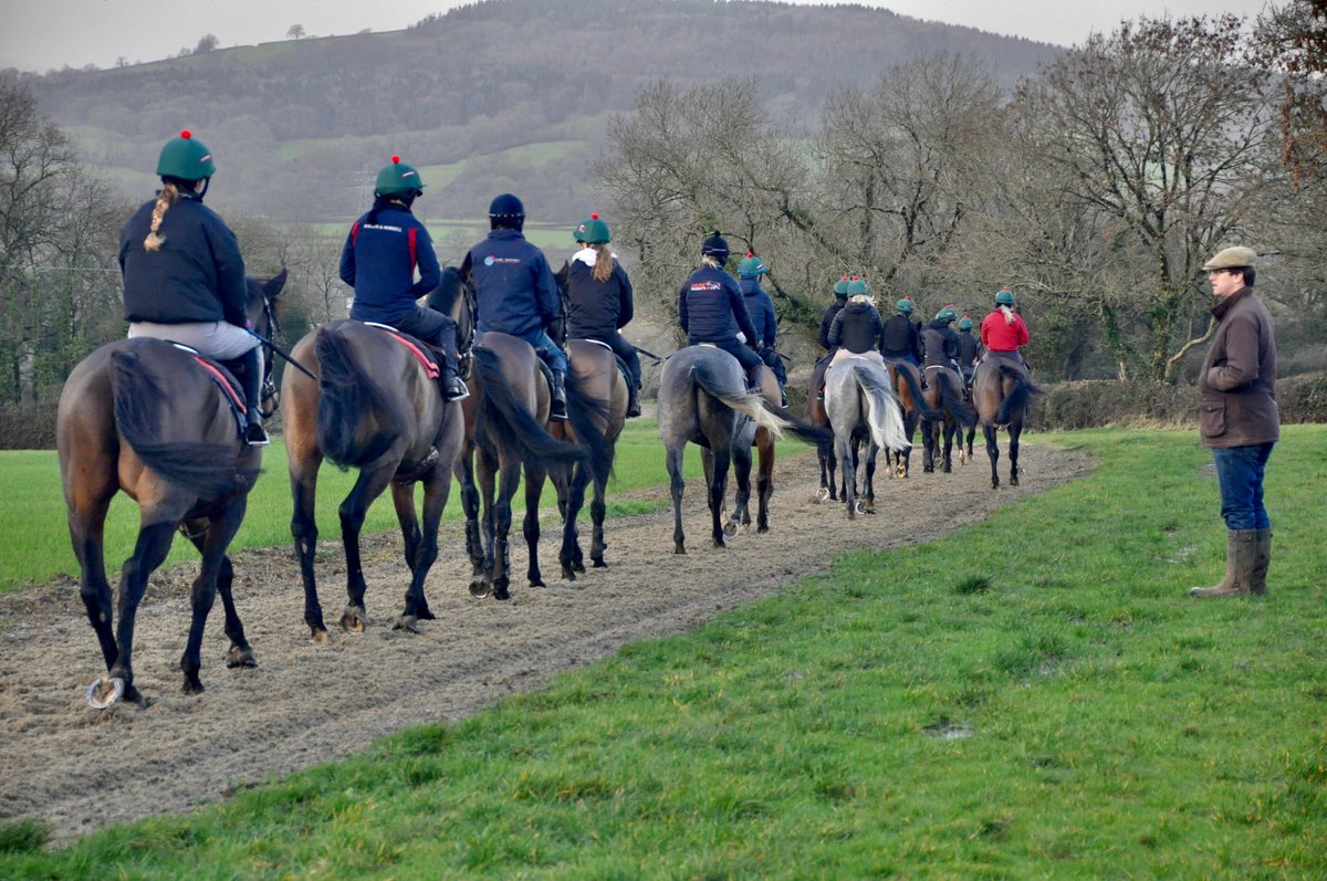 Racing_Groom's tweet photo. 📪 #RacingGrooms you've got mail! In your inboxes is a round up of news, congratulations and a new opportunity of the month with @HarryFryRacing1
#workinracing #workwithracehorses #stablestaff https://t.co/fQjam3U51K