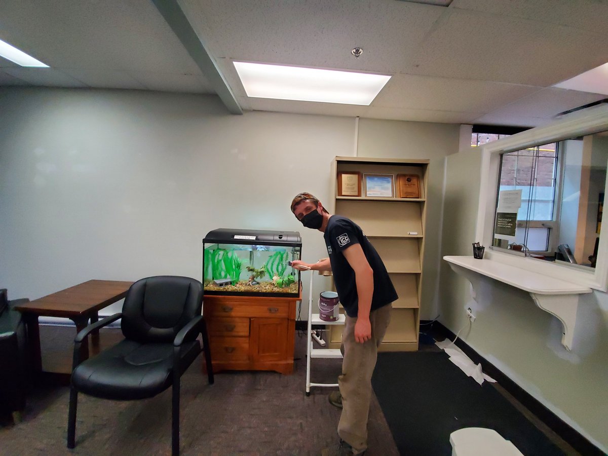 Spent the <a href="/UWCentralNB/">United Way Central NB</a> Day of Caring at the <a href="/FECSfredericton/">Family Enrichment & Counselling Service</a> practicing our painting skills and hanging out with new friends and fishes!

#UnitedWayDayofCaring2022