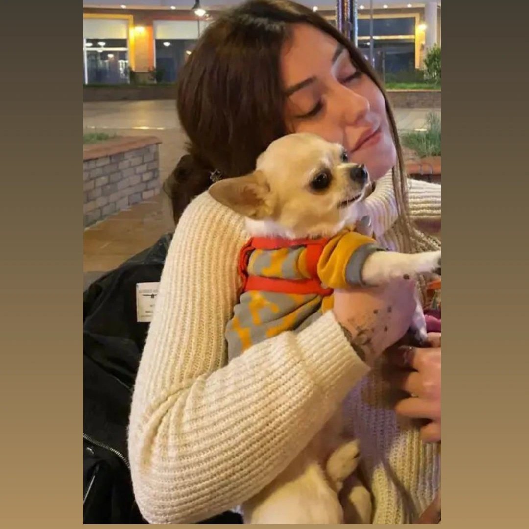 gizemesgunoglu's tweet photo. Ben susmicam köpeğime kavuşana kadar şahısların da peşini bırakmicam sesim duyulana kadar devam edicem! 10 yıldır baktığım bir canı 10 dakikada ortadan kaldıracaklar benden kabullenmemi beklicekler? Okadar kolay değil 
#leoyuBeraberBulalım https://t.co/XmKF1LCbUj