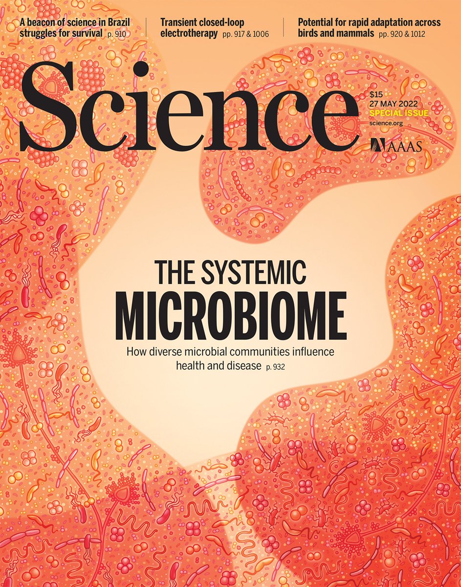 4D pharma tweet media