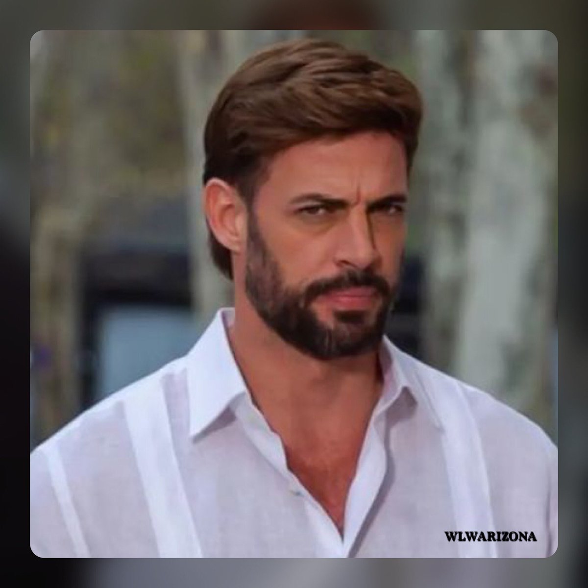 WLW_Arizona's tweet photo. Have a Great Week! ¡¡Que tengas una buena semana!! @willylevy29 #willevy #WilliamLevy #cojimar #LevyFans #WLW #WLWArizona #WilliamLevyWorld https://t.co/Q9yubuphqH