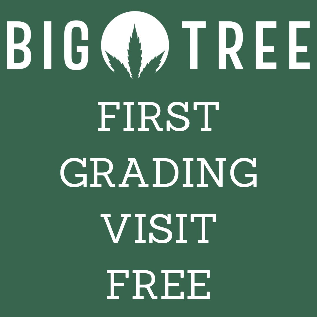 BigTreeUSA's tweet photo. Book today! Visit our website to schedule in a few quick clicks.
https://t.co/IuOVu382k8 
.
.
.
#bigtreegrading #cannabis #cannabusiness #cannabisstandards #cannabisindustry #cannabisculture #cannabiscommunity #cannabissociety #i502 #cannabisgrading https://t.co/ICMNUMal36