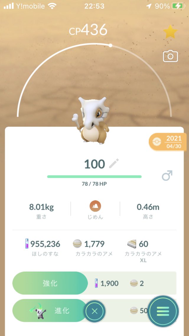 アローラガラガラ Twitter Search Twitter