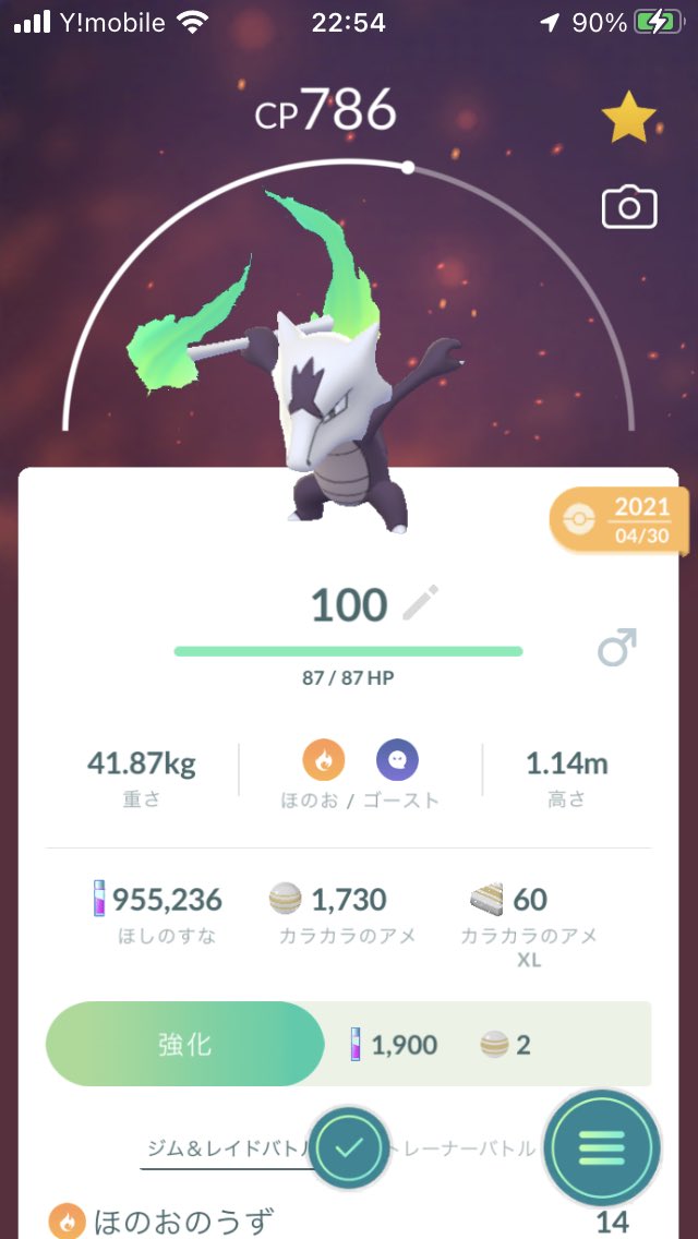 アローラガラガラ Twitter Search Twitter