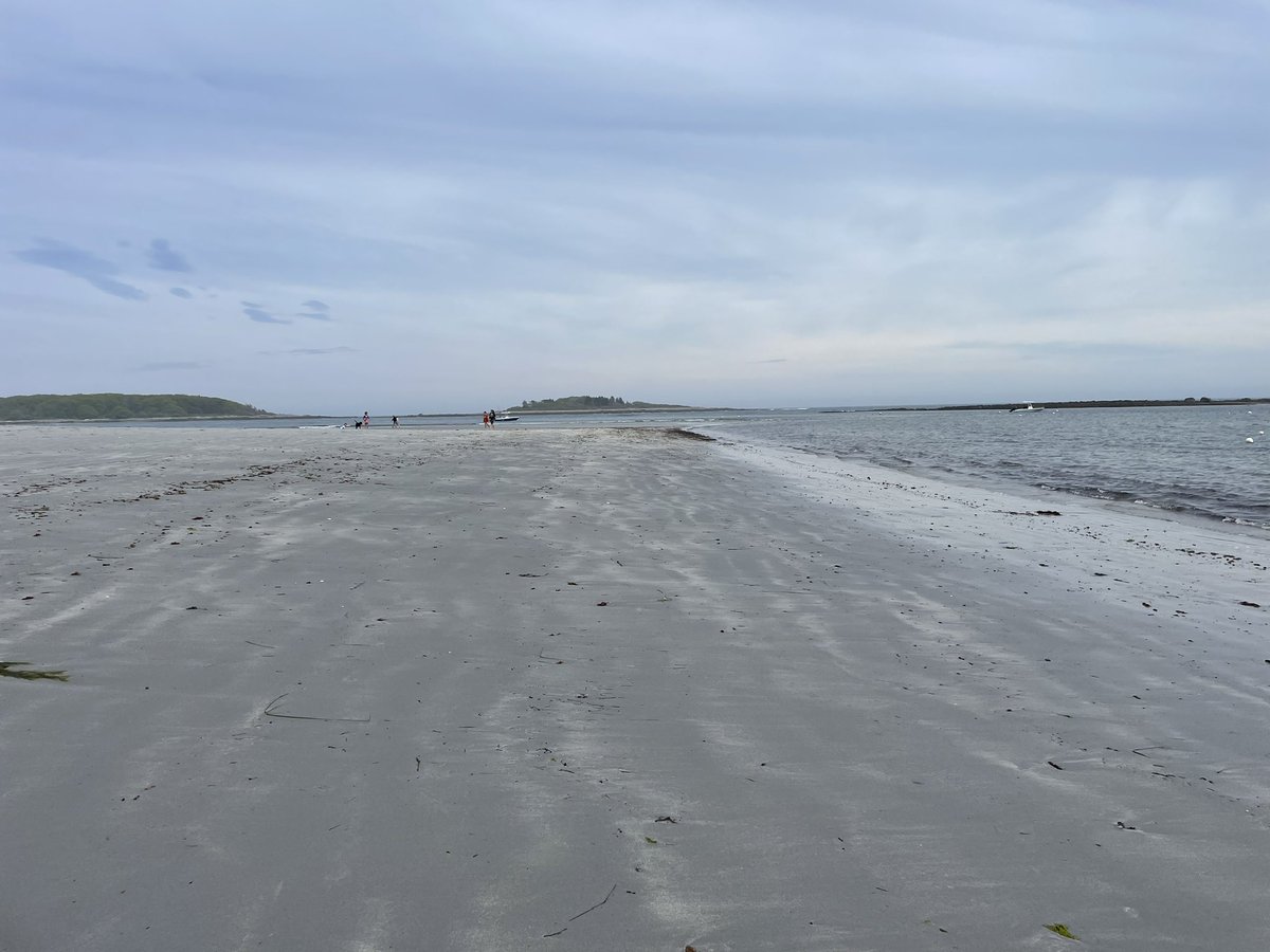 SteveBoyle241's tweet photo. Selfish life goal: To be able to plan my daily runs by the low-tide schedule rather than my Zoom schedule. 

#running #Maine #gooserocksbeach https://t.co/nhN7nq5ZeU