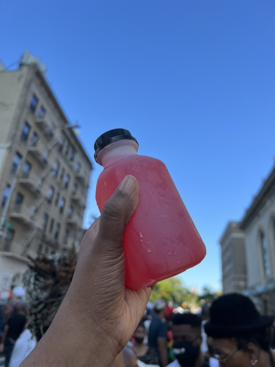 SaywordStaz's tweet photo. Next day still tipsy off that nutcracker…. Summers in brooklyn are the finest! #bamfest https://t.co/W38FvgroWv