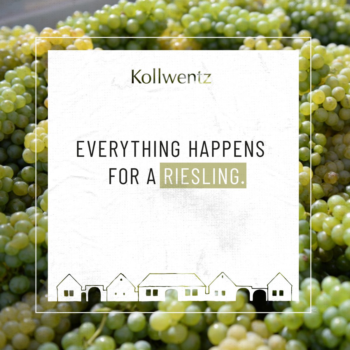 Manchmal muss man es einfach so nehmen, wie es kommt und dem guten Riesling vertrauen! 💁‍♀️ 😅

#wine #kollwentz #vineyard #instawine #austrianwine #austrianwinemakers #burgenland #winelove