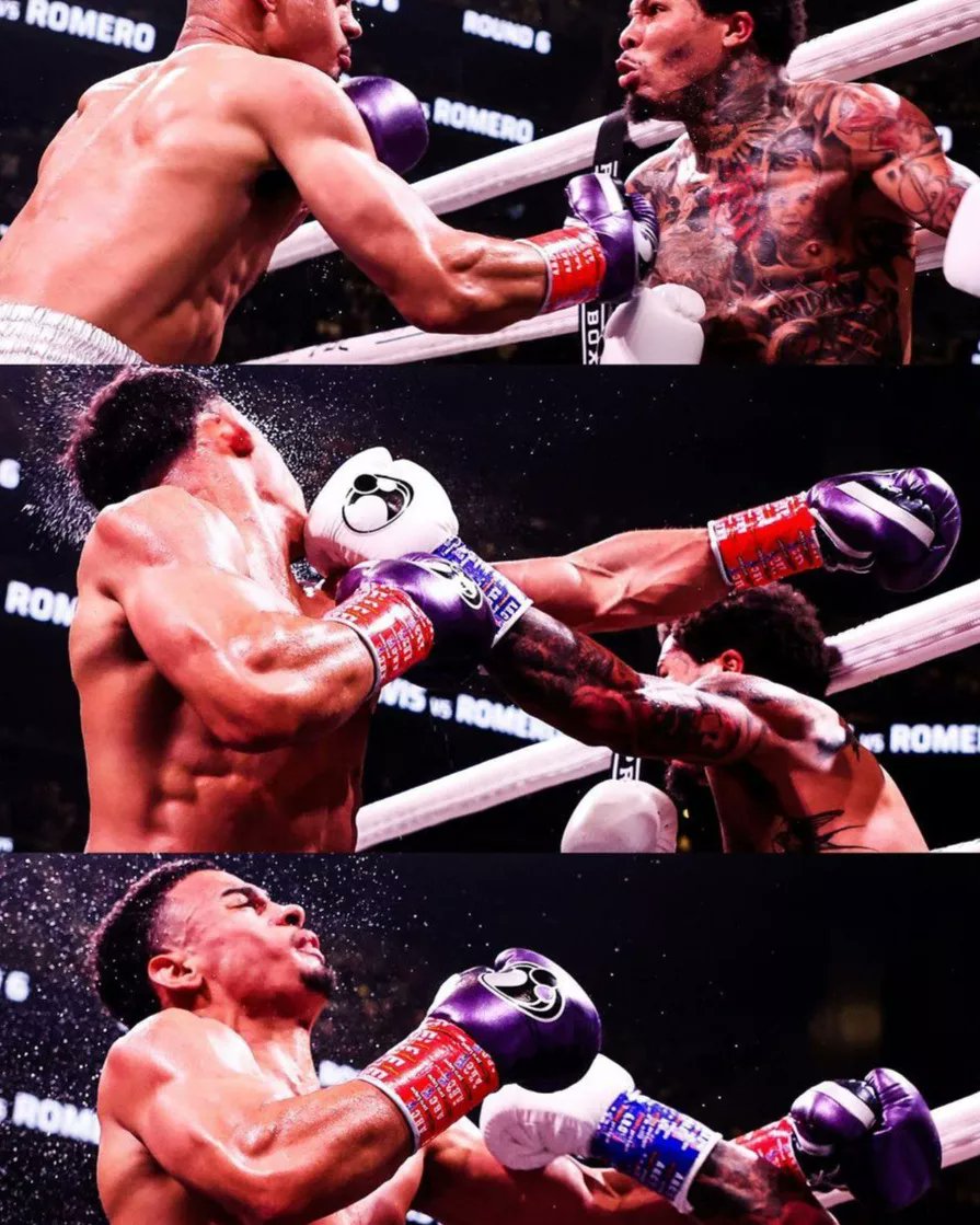 Skillr Boxing tweet media