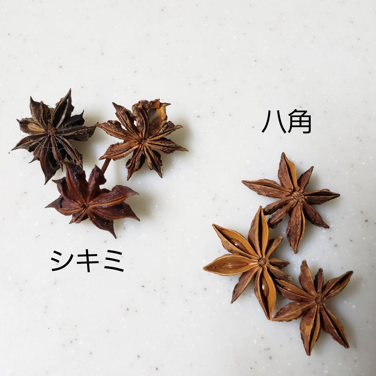 تويتر Muneyuki على تويتر 近所の親切な人がくれた拾った八角 トウシキミ が実はシキミで 食った子どもが嘔吐下痢 意識障害を併発して死に掛けた というのをこないだテレビで観た こわやこわや T Co Oztahuuqdc تويتر Muneyuki على تويتر 近所の親切な人がくれた拾った八角 トウシキミ が実はシキミで 食った子どもが嘔吐下痢 意識障害を併発して死に掛けた というのをこないだテレビで観た こわやこわや T Co Oztahuuqdc