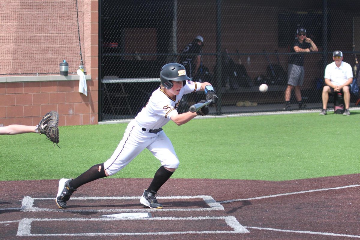 Saginaw Golds 15u 2025/2026 tweet media