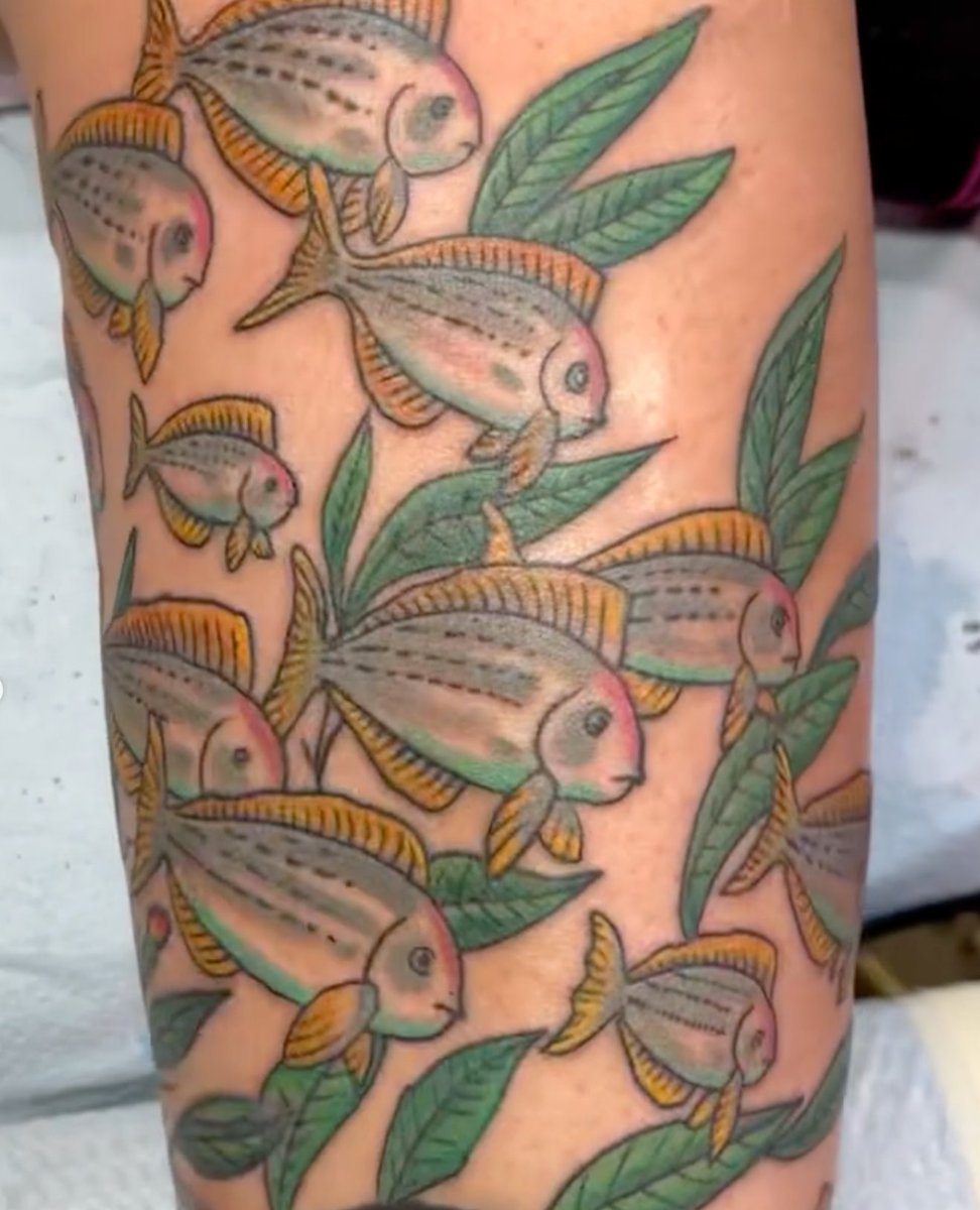 Anthem Tattoo on Twitter: "Fish swimming in seaweed. Continuation of a leg  sleeve done by @mikesalay #anthemtattoo #tattoos #tattoo #gainesville  #gainesvillefl #gainesvilleflorida #gainesvilletattoo #florida  #floridatattoo #traditionaltattoo ...