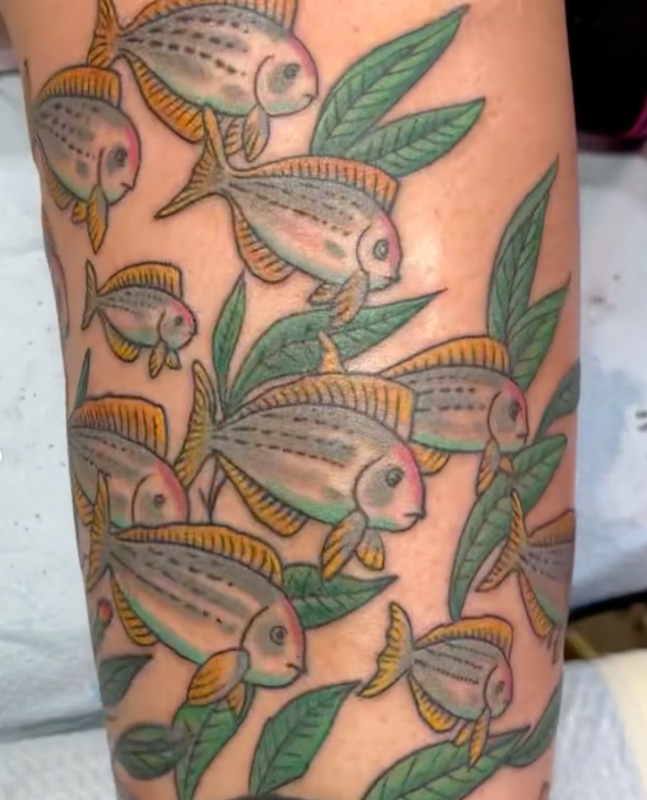 american traditional fish tattoo