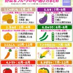 とってもためになる!いろんな野菜や果物の旬と選び方!