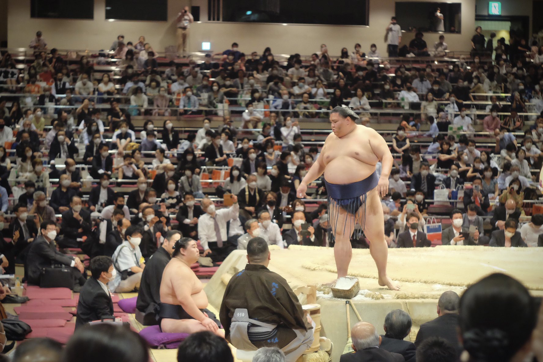 花相撲 Twitter Search Twitter