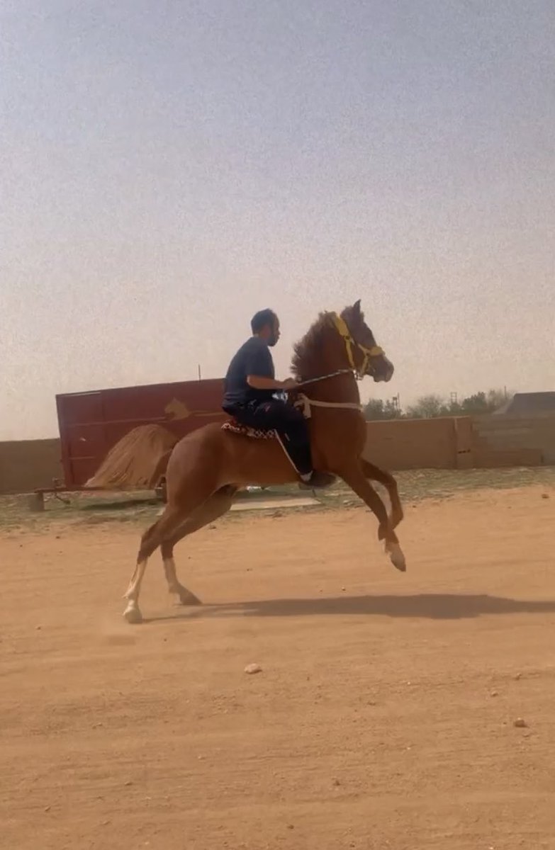 72_dd's tweet photo. @ayed_mbs https://t.co/ZGqlxKVHFT