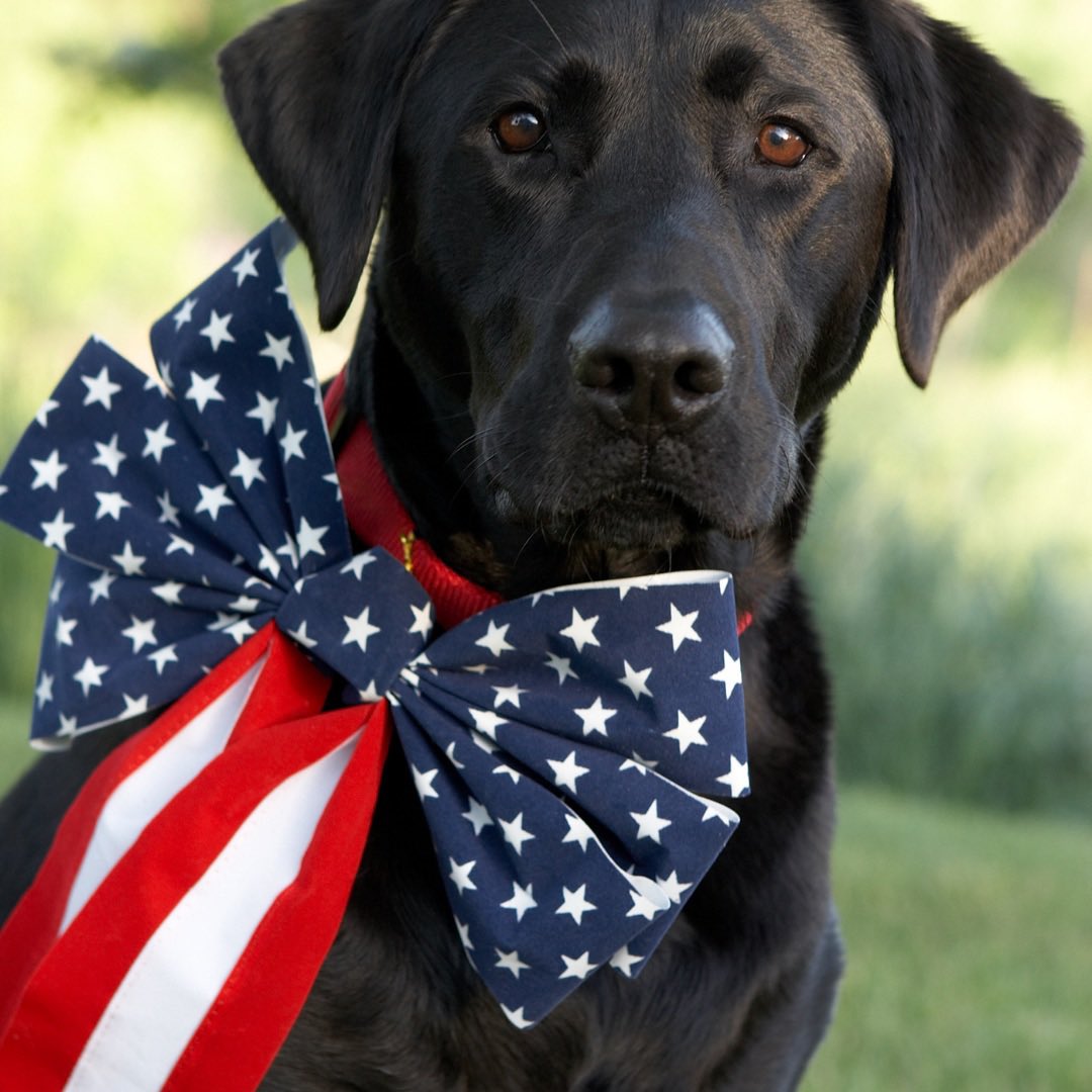 FaintingGoatGA's tweet photo. Happy Memorial Day #memorialday #happymemorialday #faintinggoatvineyards #drinklocal https://t.co/eEgb3TIfmX