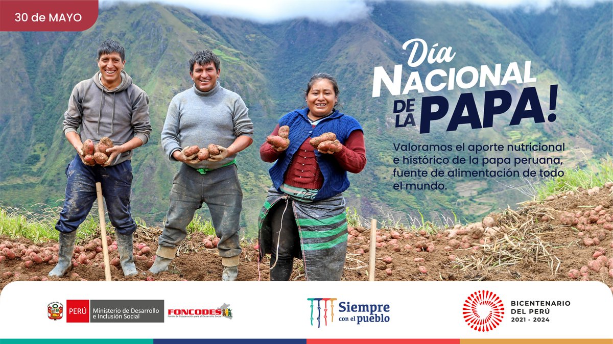 MidisFoncodes's tweet photo. 🗓️ #30DeMayo | #DíaNacionalDeLaPapa 🥔🇵🇪
Valoramos el aporte nutricional e histórico de la papa peruana, fuente de alimentación de todo el mundo. Una de las principales actividades desarrolladas por usuarios y emprendimientos del proyecto #HakuWiñay 🧑‍🌾👩‍🌾 en comunidades rurales. https://t.co/JdCEwrcyKv