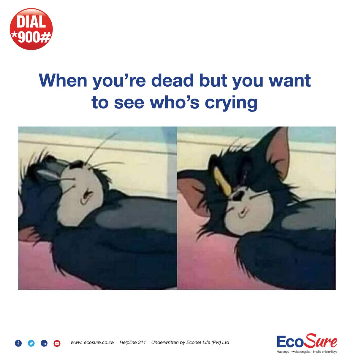 EcosureZW tweet media