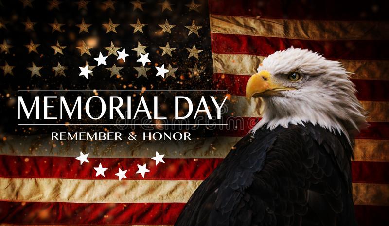 Northfield Kitchens tweet media